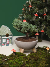 Bonsai Pino en Bowl en Concreto con Charm